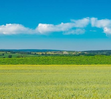 Hortenzia Vendeghaz Mor Daire Dış mekan fotoğraf