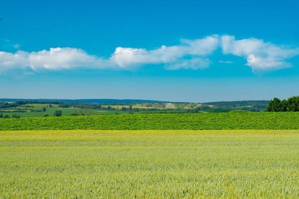 Hortenzia Vendeghaz Mor Daire Dış mekan fotoğraf